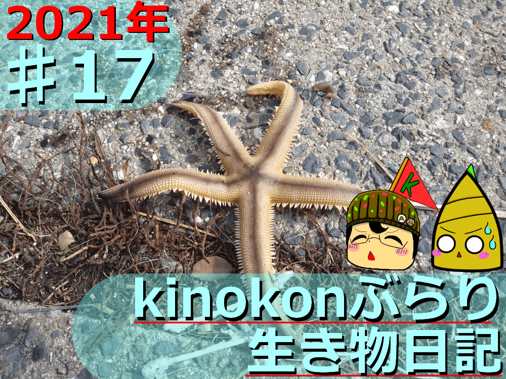 Thumbnail of post image 187